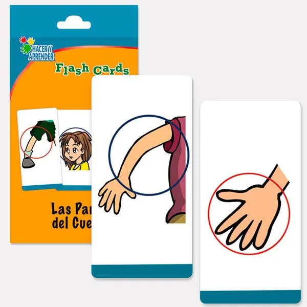 Flashcards Partes del Cuerpo